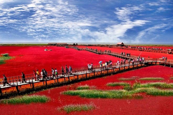 紅海灘國家風景廊道