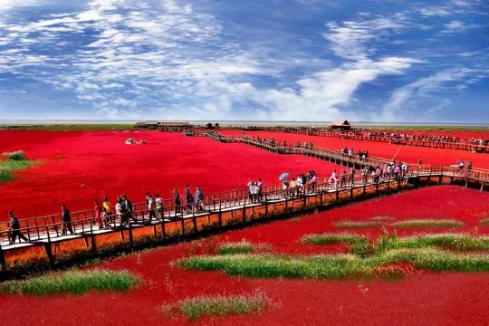 紅海灘國家風景廊道