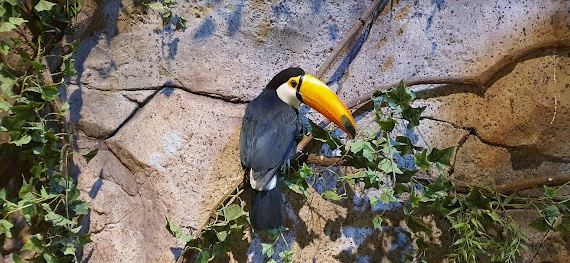 Zoolung Zoolung室內動物園