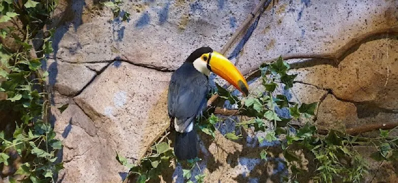 Zoolung Zoolung室內動物園