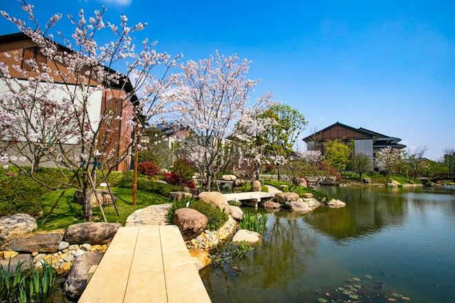 觀音法界觀音村居士學院