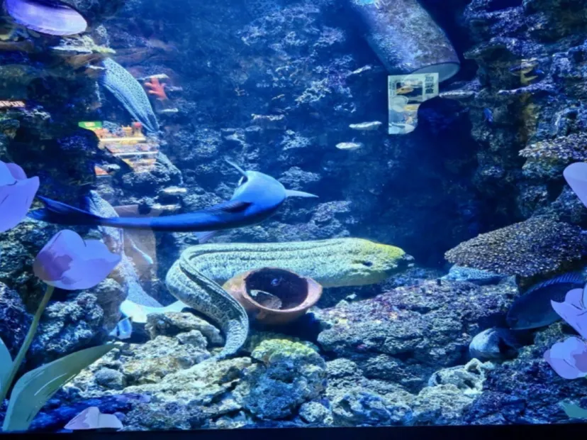青島極地海洋公園