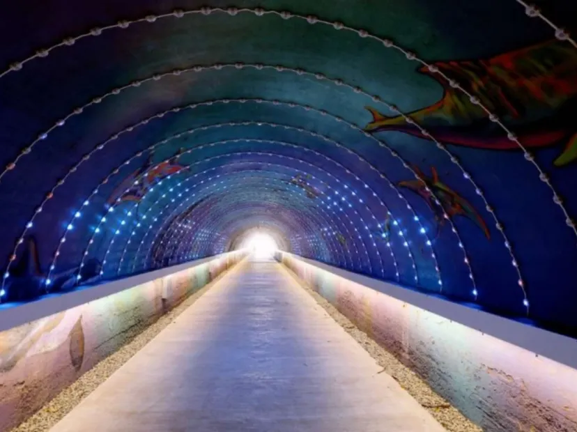 星空隧道