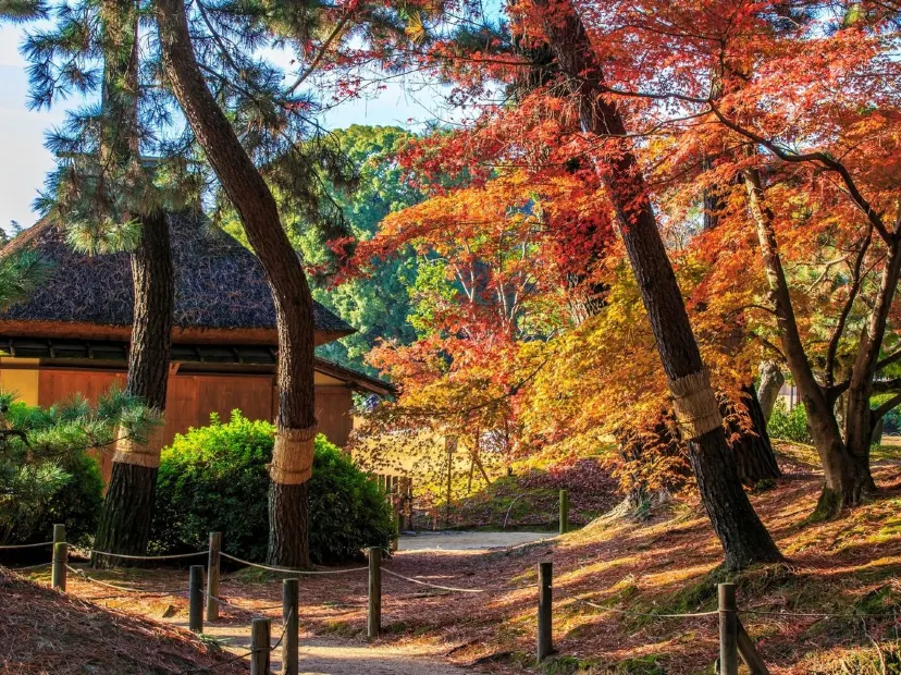 岡山後樂園