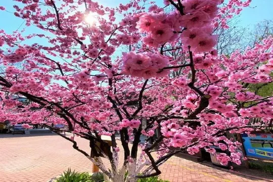 紅葉谷生態文化旅遊區