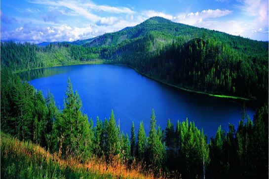 阿爾山國家地質森林公園-駝峰岭天池