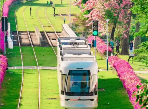 廣州花海里列車