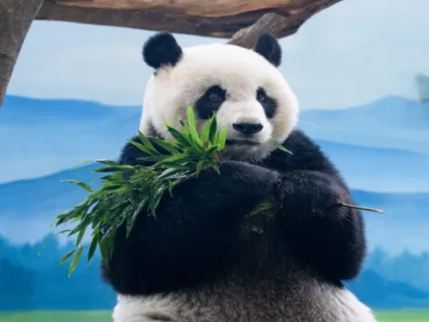 臺北市立動物園