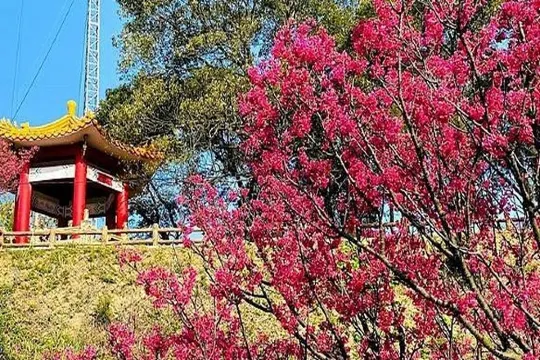 桃園壽山巖觀音寺