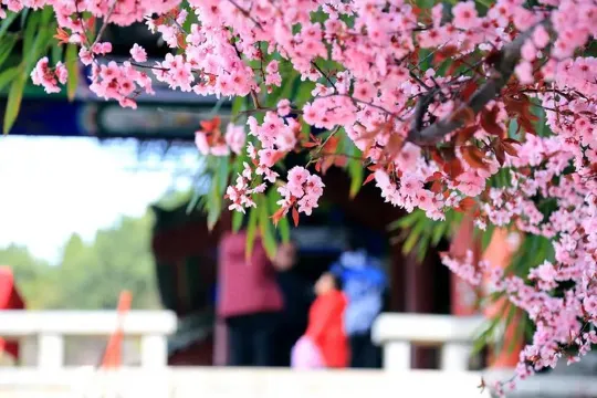 紅葉谷生態文化旅遊區