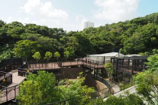 沖繩兒童王國動物園