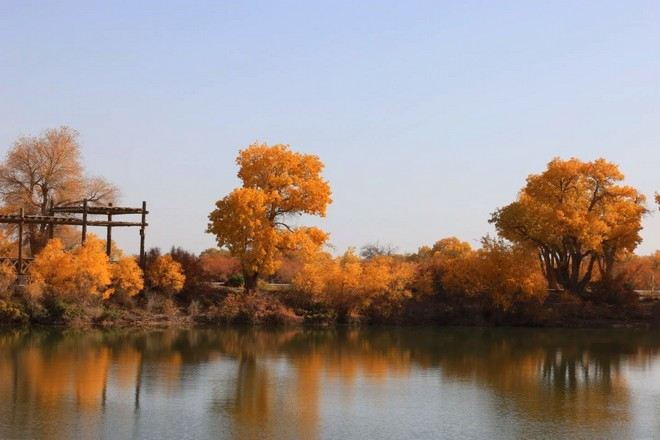 紅海胡楊林公園