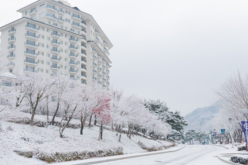 江村Elysian度假村