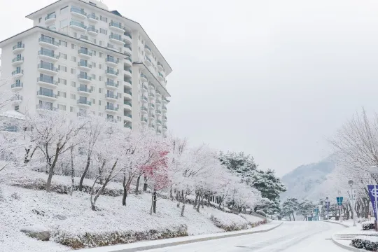 江村Elysian度假村