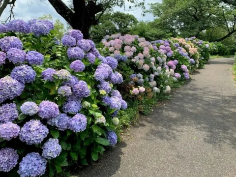 《親子人氣景點》Mother牧場