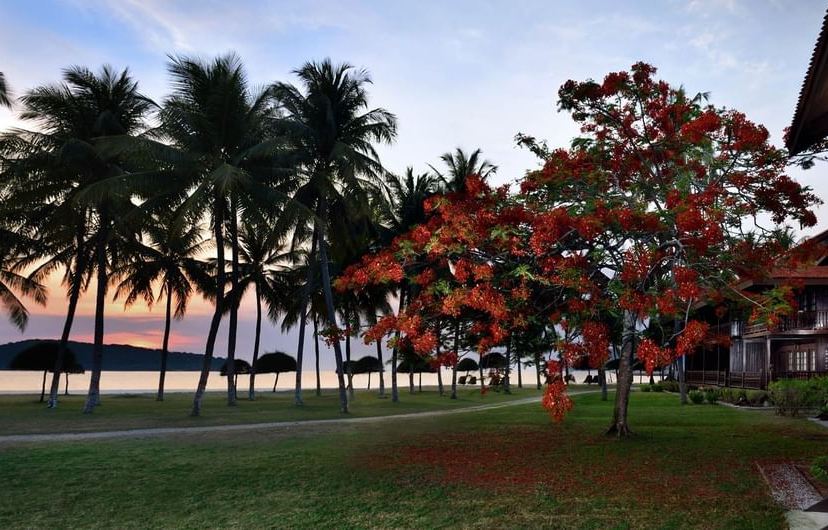Pelangi Beach Resort & Spa, Langkawi 