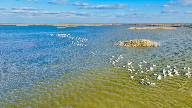 黃河口生態旅游區