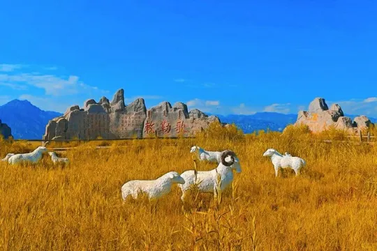 哈素海旅游區敕勒川草原呼