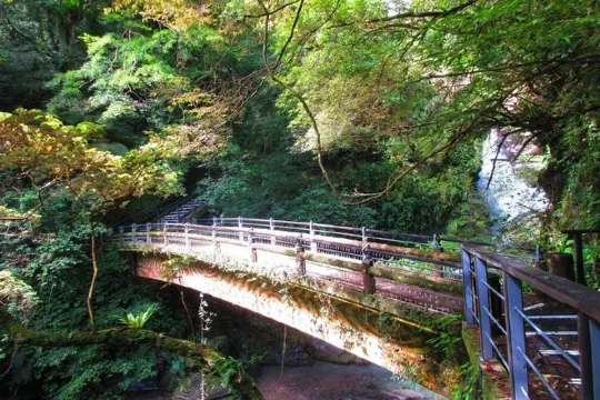 滿月圓森林遊樂區