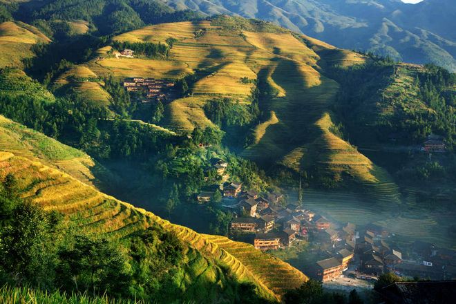 龍脊梯田