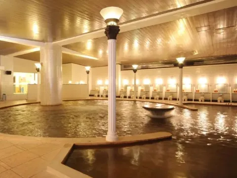 十和田莊 溫泉酒店