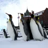 北海道 5天冬日玩樂之旅  登別Marine Park海洋城堡~企鵝巡遊、登別地獄谷/ 野外攀山雪車場、千歲三文魚故鄉/支芴湖冰濤、Royce 朱古力工房見學+ 北海道紅磚廳舍/札幌雪祭、1晚溫泉酒店