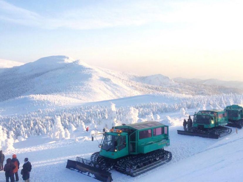 Wild Monster雪怪車