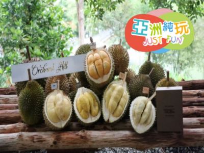 【5鑽】吉隆坡+雪蘭莪+馬六甲 悠閒純玩5天團【人氣榴槤果園~Orchard Hill、瓜拉雪蘭莪(乘船夜觀螢火蟲)、The LINC KL、Lalaport BBCC、Book Xcess、鬼仔巷】