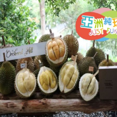 【5鑽】吉隆坡+雪蘭莪+馬六甲 悠閒純玩5天團【人氣榴槤果園~Orchard Hill、瓜拉雪蘭莪(乘船夜觀螢火蟲)、The LINC KL、Lalaport BBCC、Book Xcess、鬼仔巷】