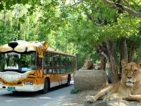 愛寶樂園Everland