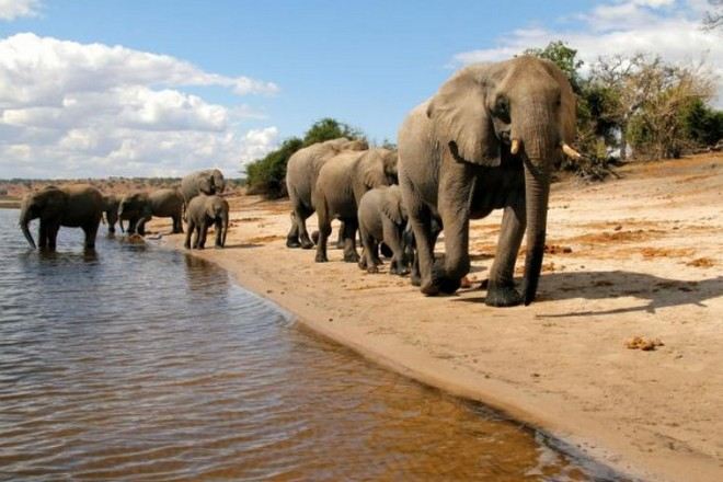 高比野生動物保護區