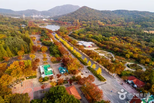 仁川大公園 秋