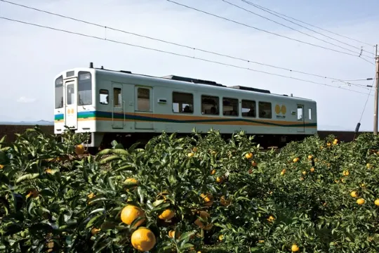 Orange Cafe觀光列車