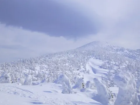 八甲田山樹冰
