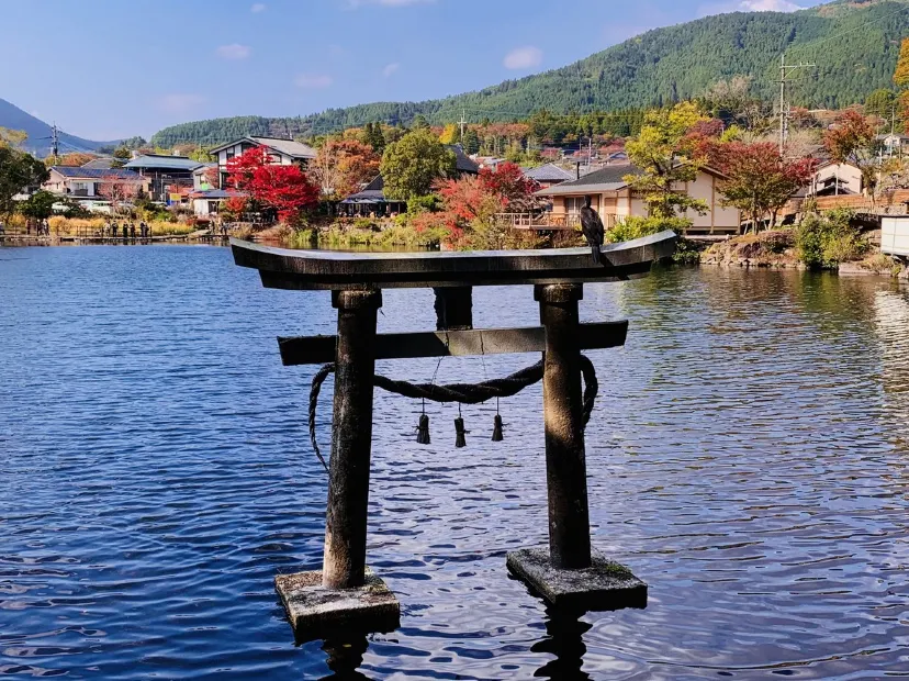 金鱗湖