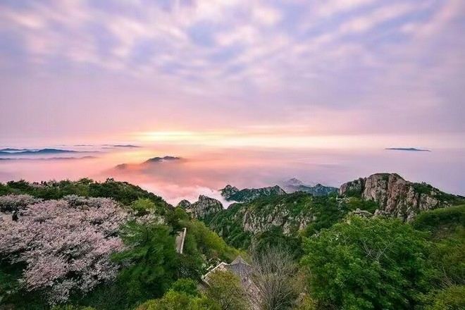 《世界文化及自然遺產》泰山