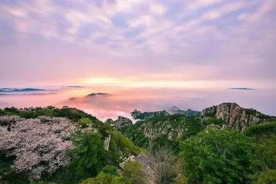 《世界文化及自然遺產》泰山