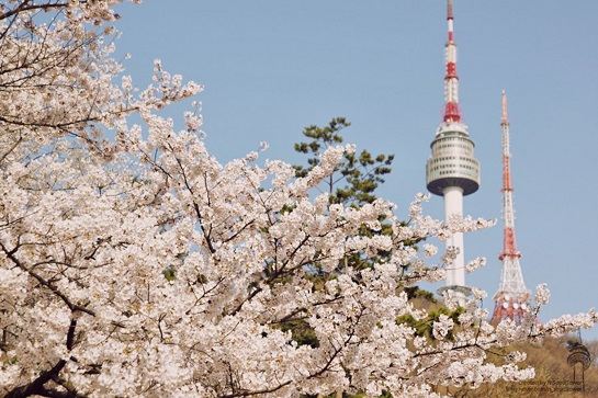 N首爾塔公園