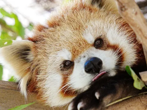 市川市動植物園