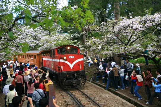 阿里山小火車