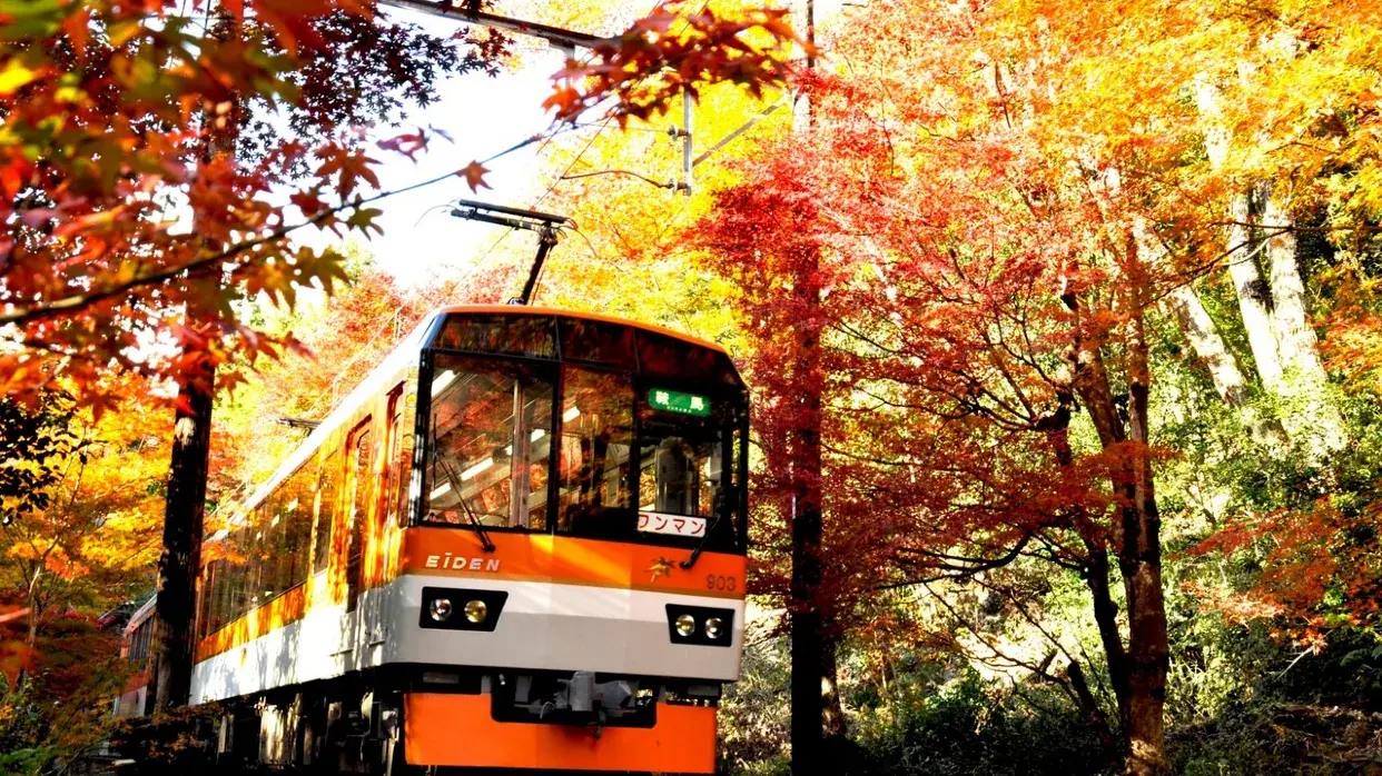 叡山紅葉列車