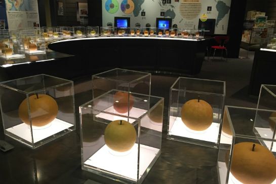 20世紀『梨』紀念館