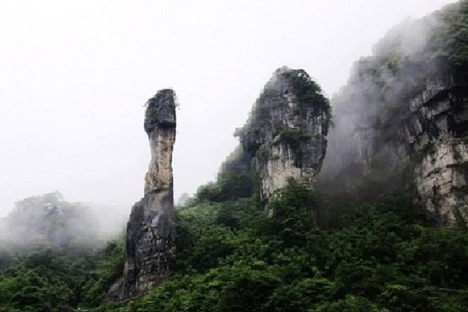 金佛山國家森林公園