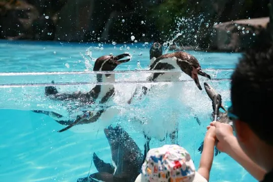 阿蘇奇趣動物園