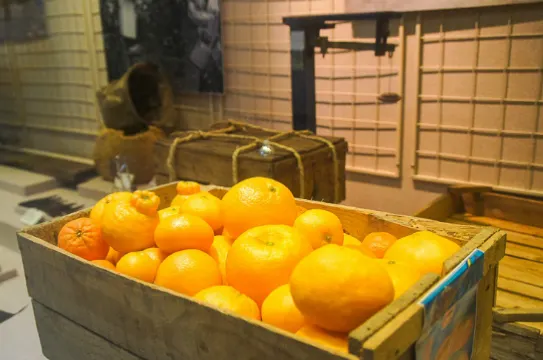 橘子博物館
