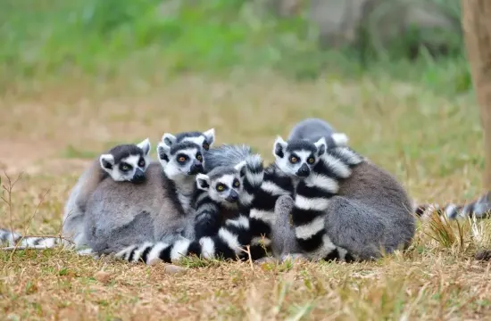 六福莊生態度假酒店