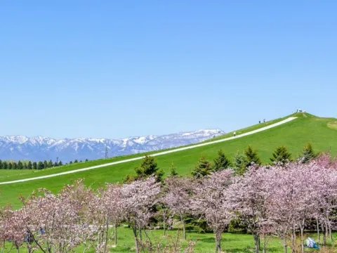 莫埃來沼環保公園