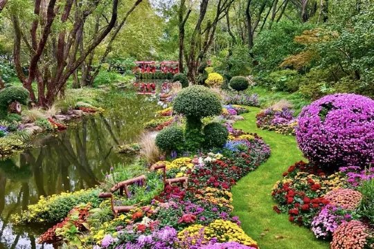 上海共青森林公園