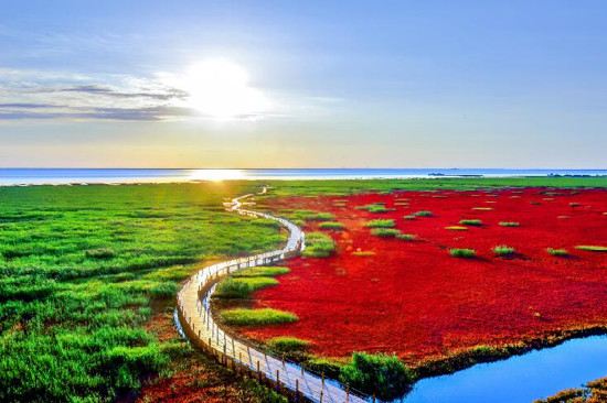 紅海灘國家風景廊道