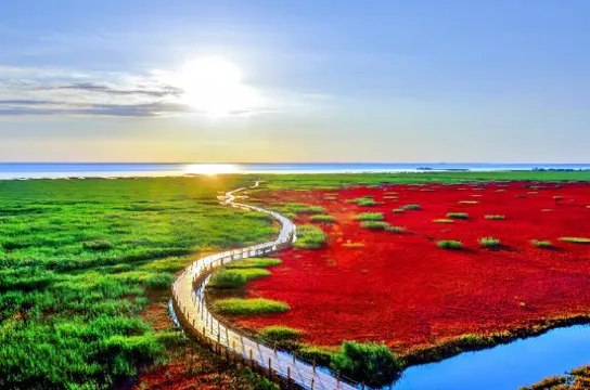 紅海灘國家風景廊道